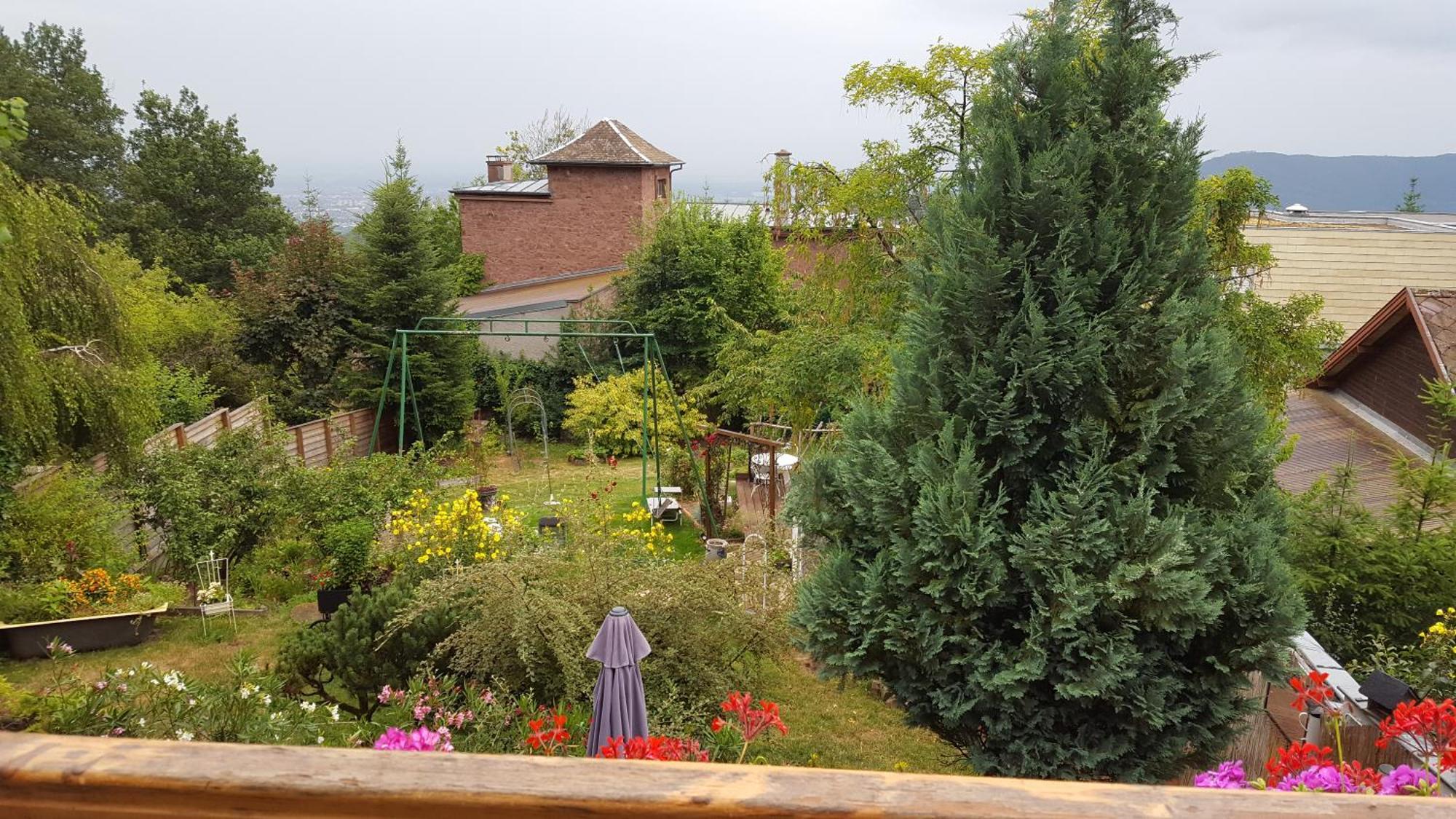 Les Iris Chambres D'Hote Niedermorschwihr Rom bilde